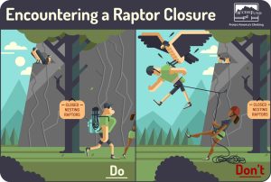 Respect raptor closures